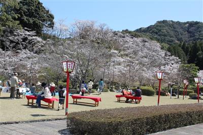 桜の名所としても知られる西渓公園