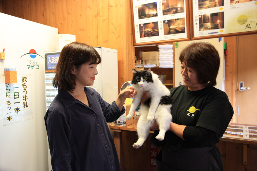 看板猫の“こはくちゃん”。ちょっと人見知りだけど人気者