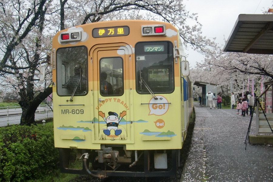 桜のトンネルを電車が通ります