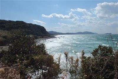 弓張状に続く海岸線が美しい
