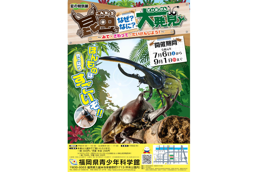 この夏は昆虫について考えてみよう！