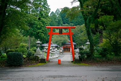 森の静かな環境のなかに鎮座