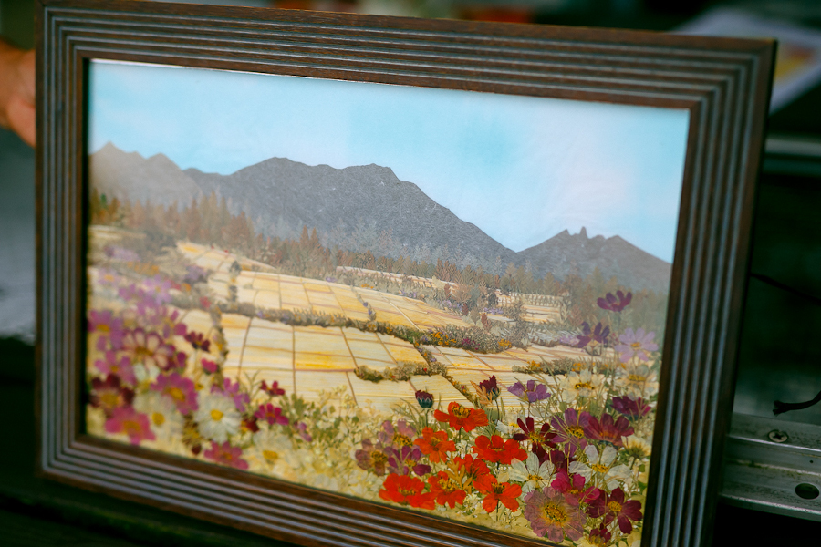 奥様の押し花作品。阿蘇五岳と秋の田園が美しく描かれた傑作