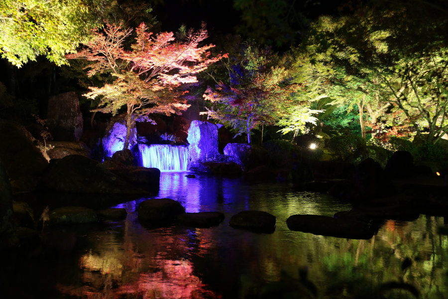 深耶馬渓の玄関口であるひさしもみじをライトアップ 深耶馬渓の玄関口であるひさしもみじをライトアップ