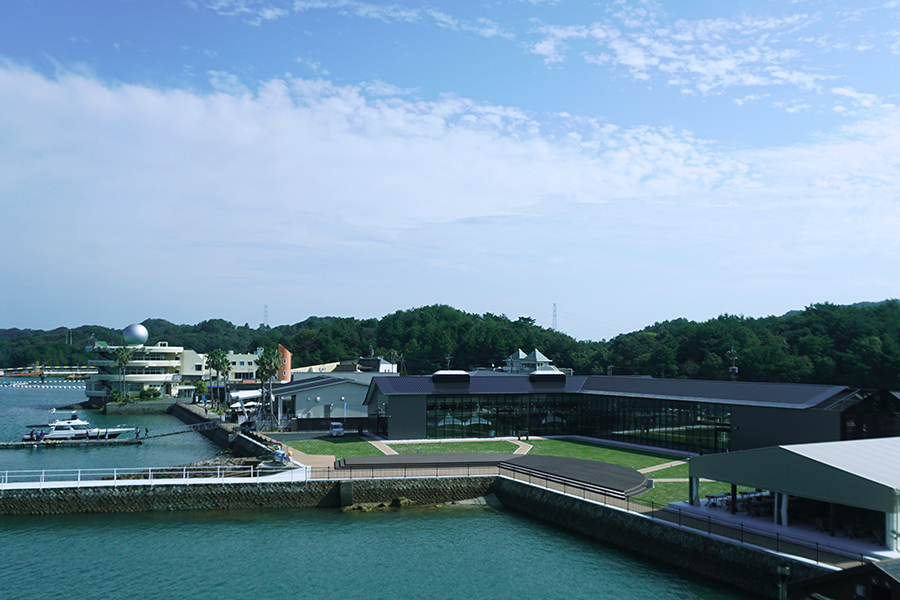 ミオ・カミーノ天草