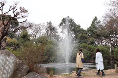 柿田川公園