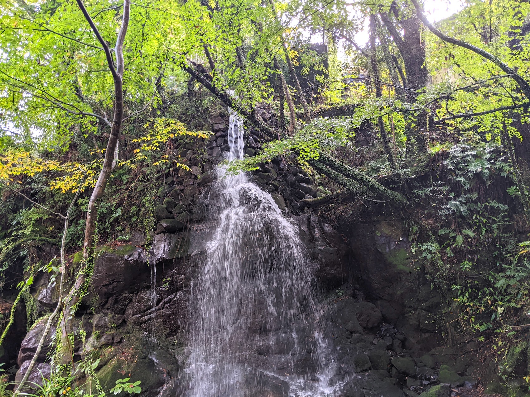 万葉公園沿いの千歳川と滝