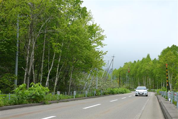最安値を追求！格安レンタカー