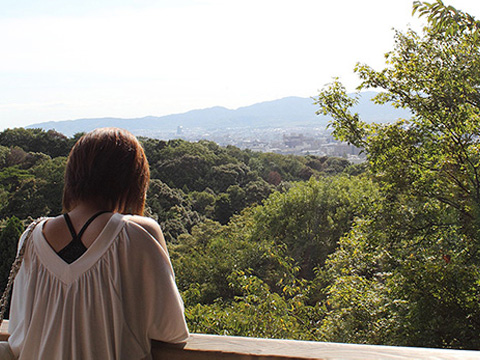 自由気ままに、沖縄一人旅
