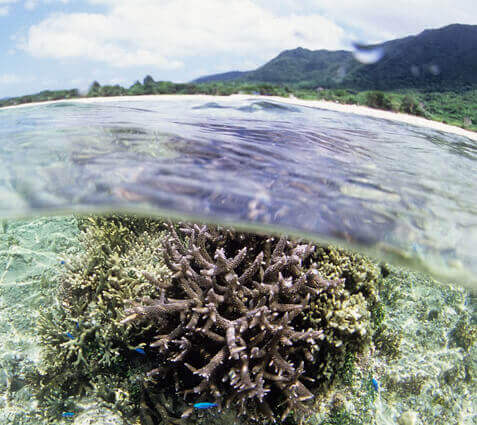 米原ビーチ（よねはらびーち）