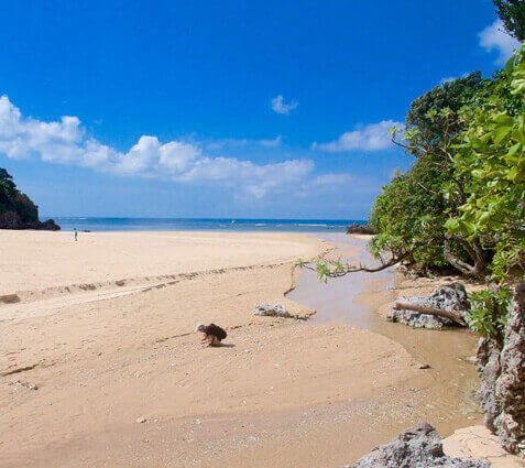 クリスタルビーチ