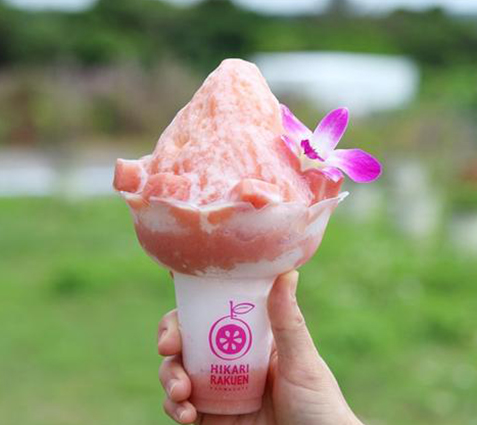 光楽園（ひかりらくえん）