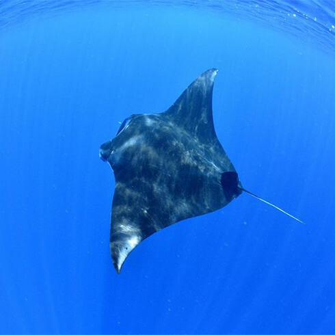 やっぱり、青い海が好き！