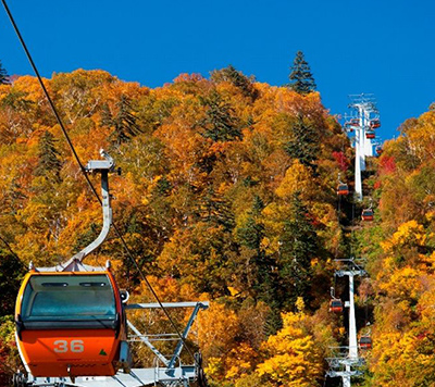 紅葉ゴンドラ