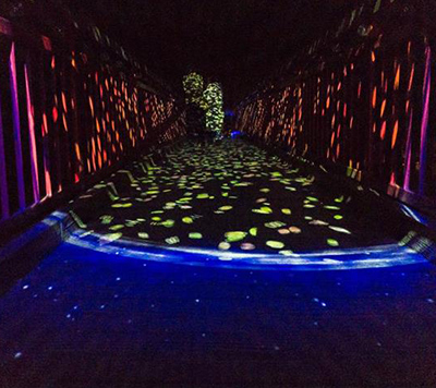 定山渓ネイチャールミナリエ