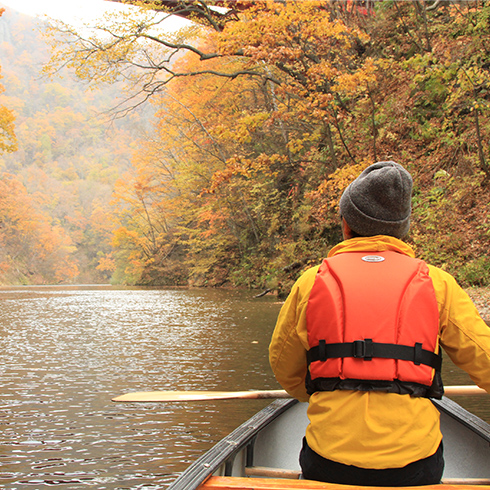 燃ゆる紅葉、下から見るか、上から見るか