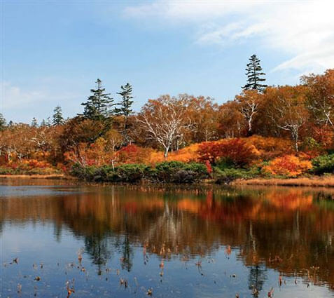 神仙沼（しんせんぬま）