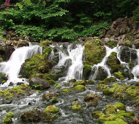 京極のふきだし公園（道の駅「名水の郷きょうごく」）