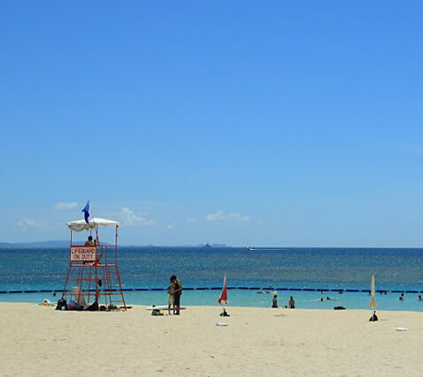 トロピカルビーチ