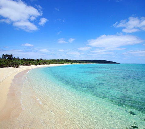 高野漁港のビーチ