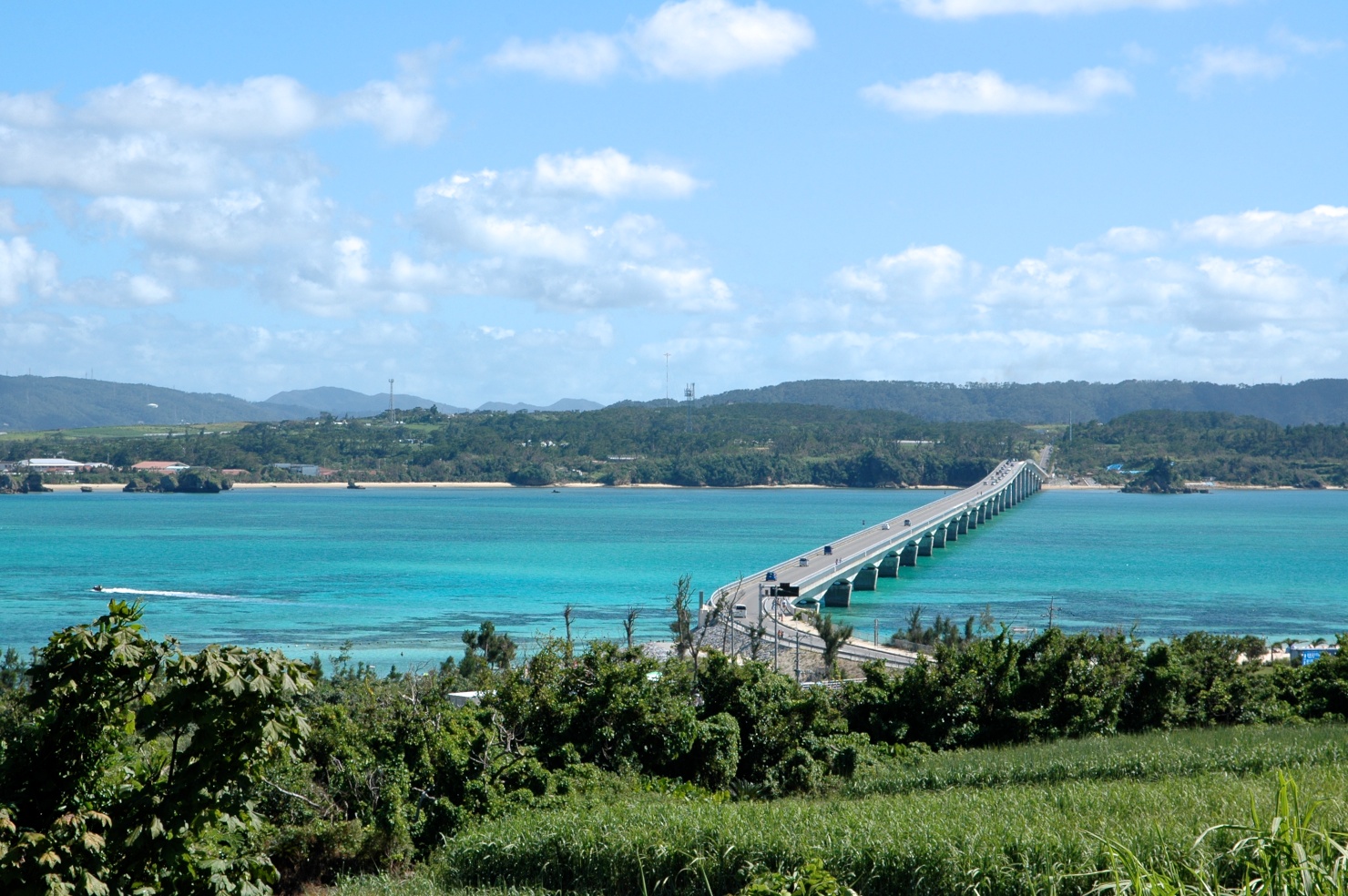 沖縄美ら海水族館行きバスツアー