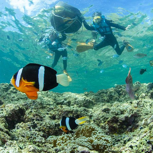 青の洞窟と合わせて恩納村を遊び尽くす