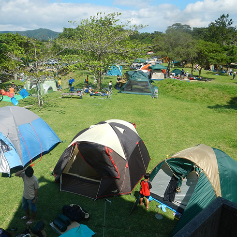 沖縄県県民の森