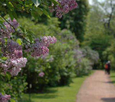 北海道大学植物園