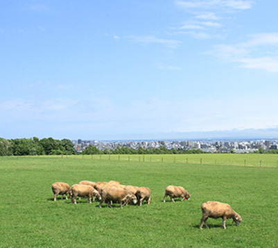 さっぽろ羊ヶ丘展望台
