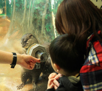 サンピアザ水族館