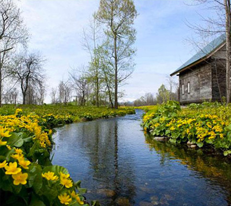 六花亭　六花の森 