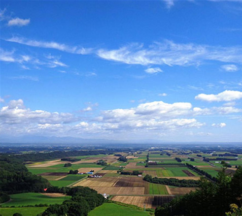 新嵐山スカイパーク展望台