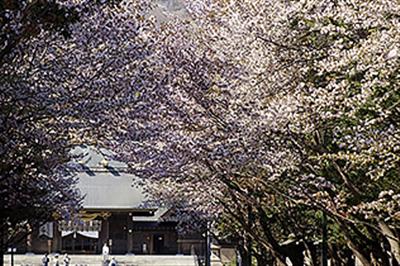 /sightseeing/feature/img/0000109/s4_kiji1Img.jpg