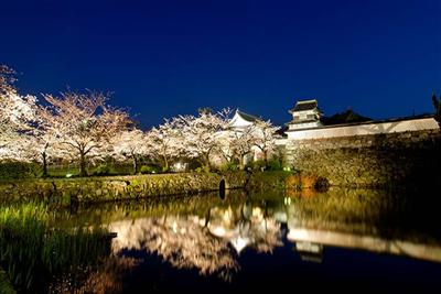 /sightseeing/feature/img/0000355/s4_kiji1Img.jpg