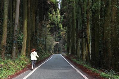 /sightseeing/feature/img/0000464/s4_kiji1Img.JPG