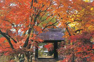 筑前の小京都「秋月」