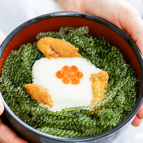 5月が旬の沖縄の海ぶどう