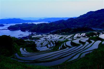 大浦の棚田