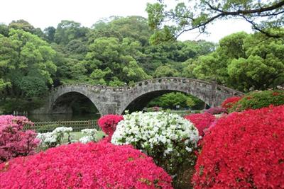 稲佐山つつじまつり