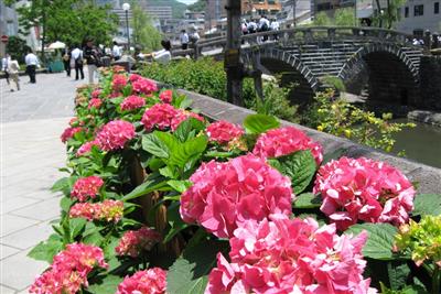 ながさき紫陽花まつり