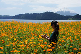 薩摩半島を走るドライブコース