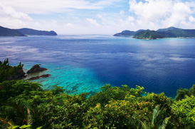 神秘の森と美しい海の奄美ツアー