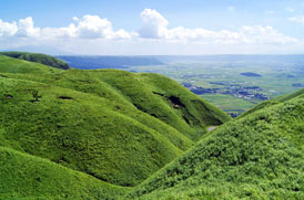 熊本城周辺や、阿蘇山観光に便利なツアー