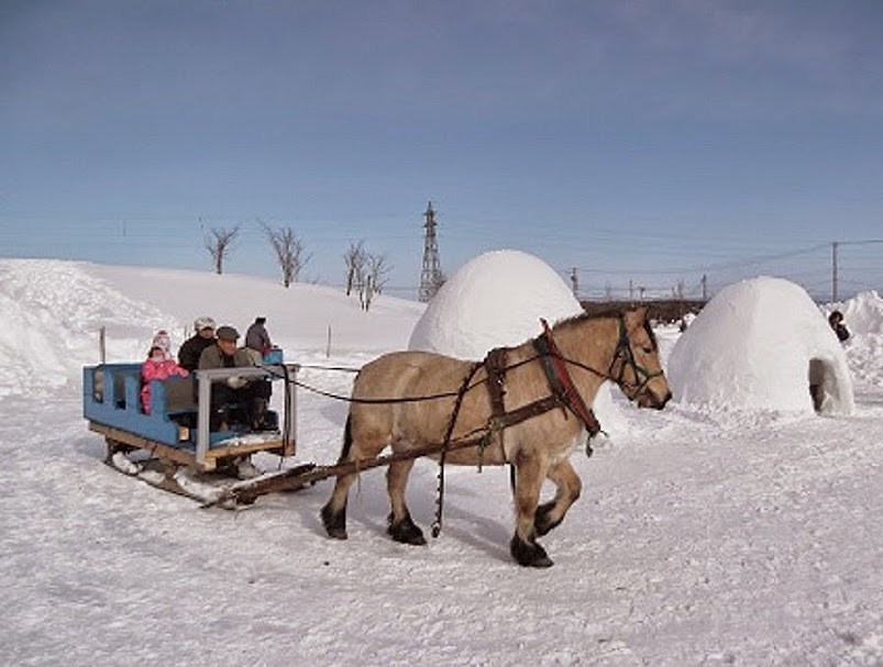 家族でも、カップルでも楽しみやすいアクティビティが特徴だ