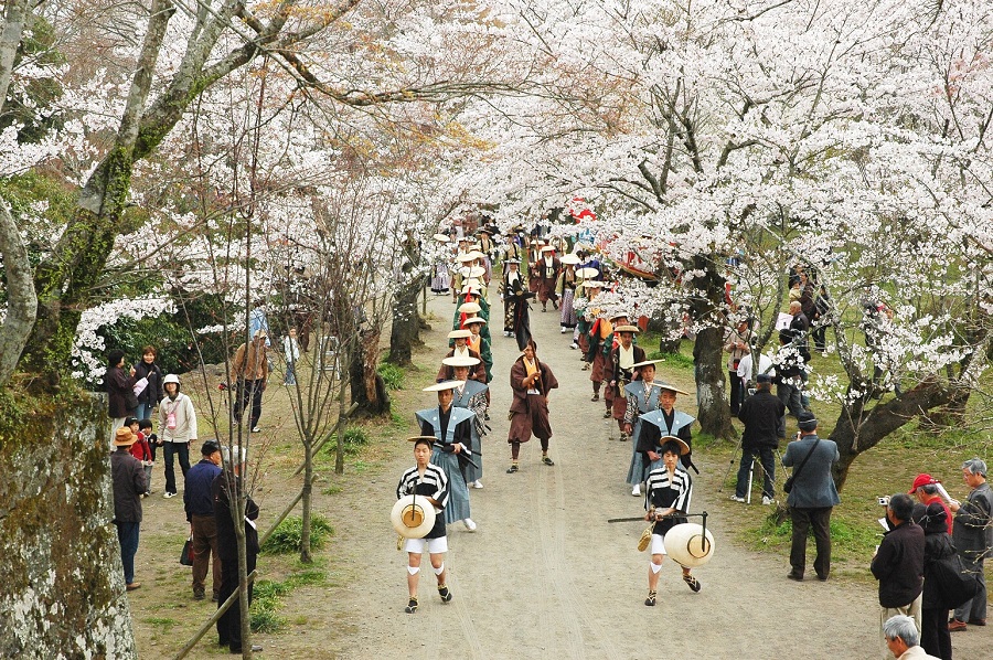 毎年桜の時期に行われる「岡城桜まつり」