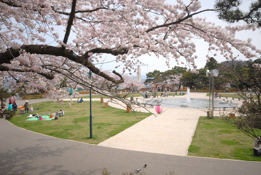 家族連れをはじめ多くの人で賑わう函館公園※写真はイメージ 家族連れをはじめ多くの人で賑わう函館公園