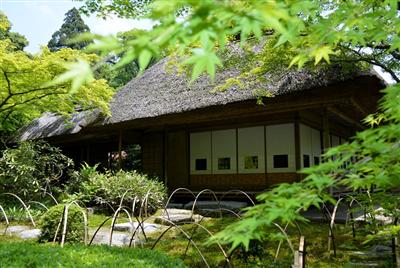 まるで緑の絨毯のような九年庵