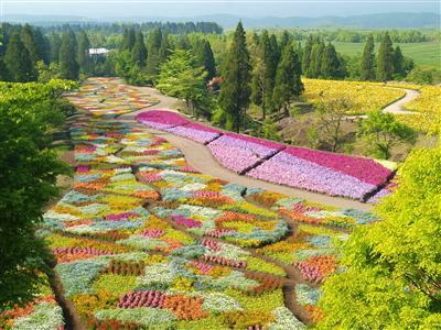 パステル色のじゅうたんのような「春彩の畑」