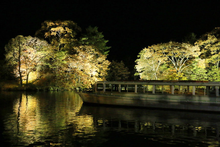 漆黒の湖面にライトアップされた紅葉が映し出される