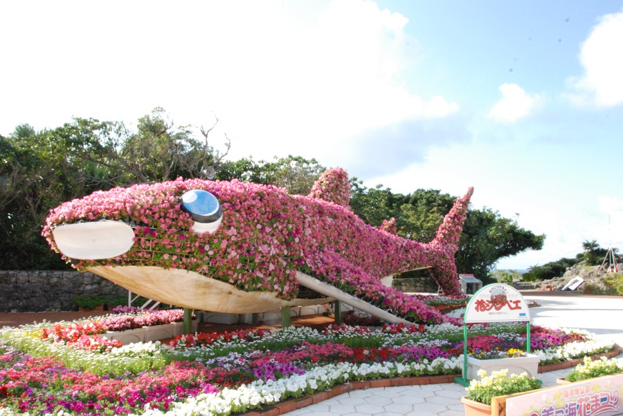 写真/海洋博公園美ら海花まつり(イメージ)